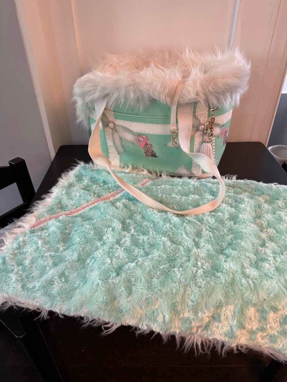 Mint Green Faux Fur Pet Carrier Bag & Matching Blanket